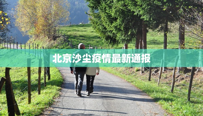 枣庄最新情况疫情：科学防控，共筑健康屏障